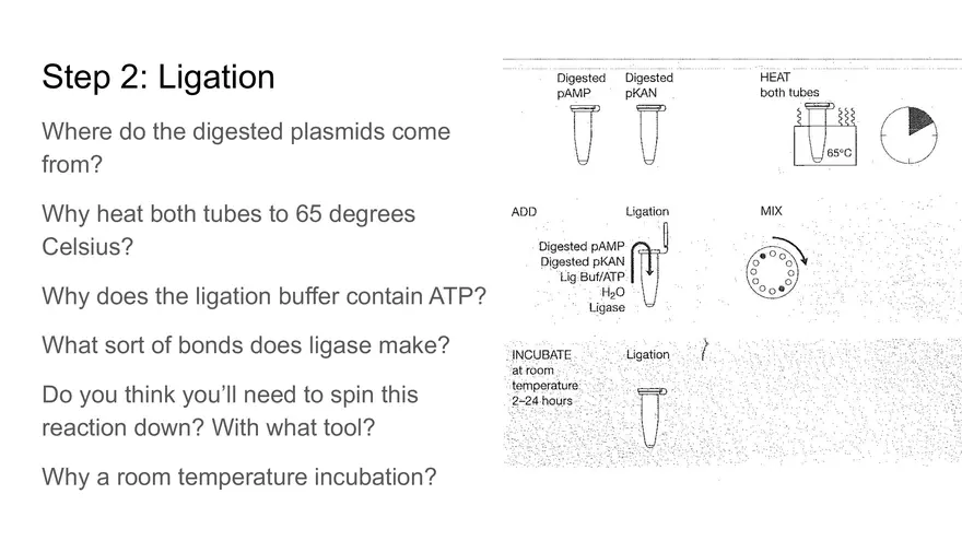 Lab 6 - Overview - Page 24