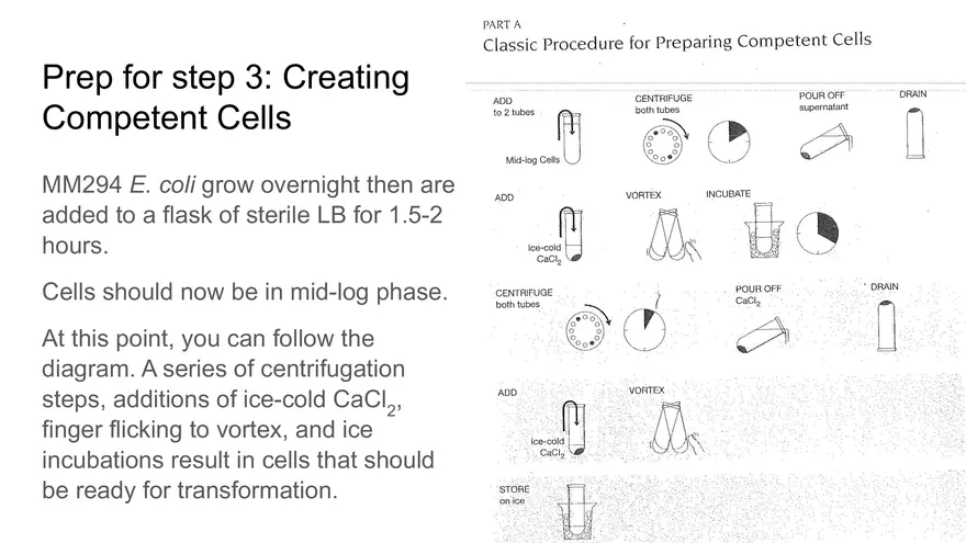 Lab 6 - Overview - Page 26