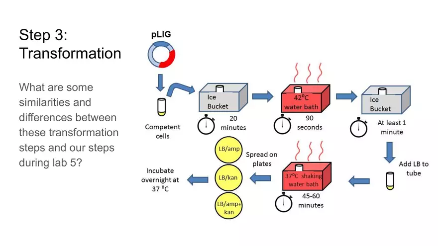 Lab 6 - Overview - Page 27