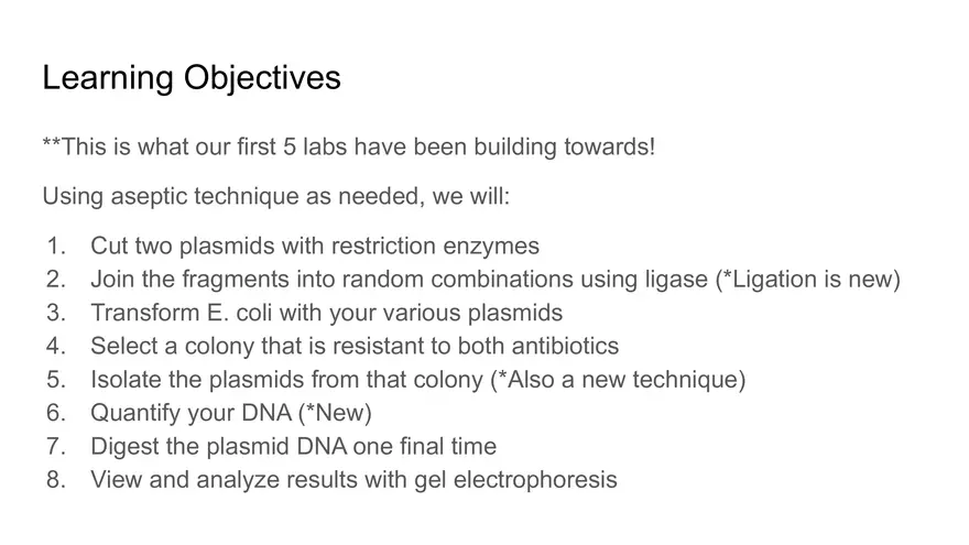 Lab 6 - Overview - Page 2