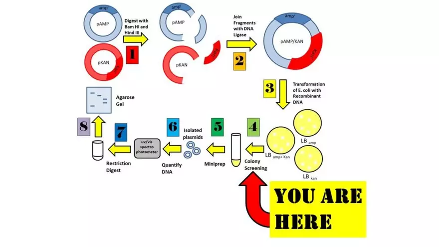 Lab 6 - Overview - Page 4