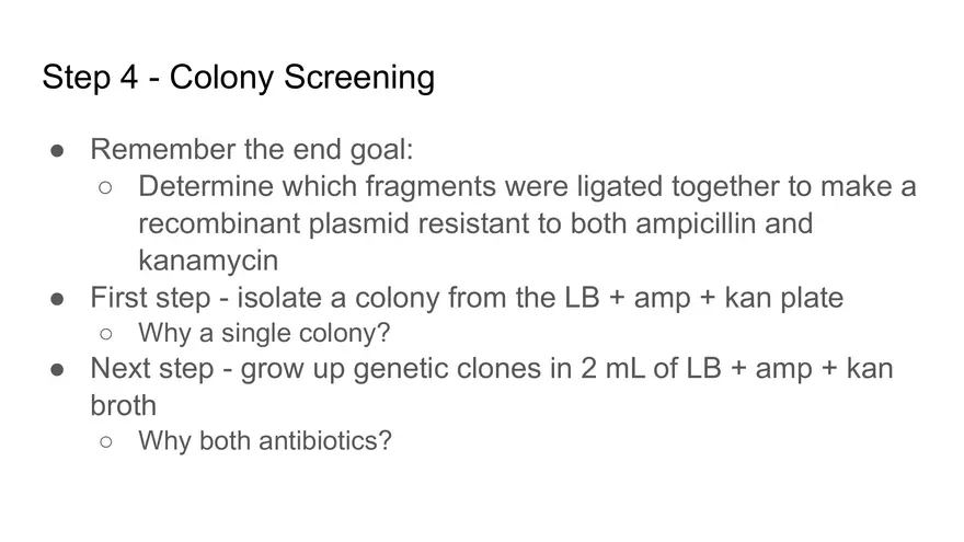 Lab 6 - Overview - Page 5