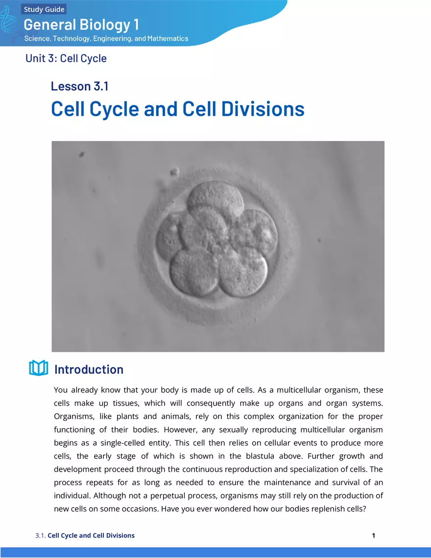 Cell Cycle and Cell Divisions Study Guide - Page 1