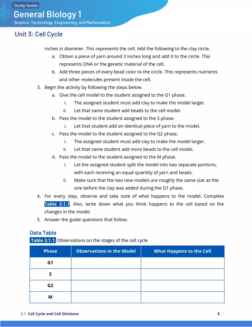 Cell Cycle and Cell Divisions Study Guide - Page 3