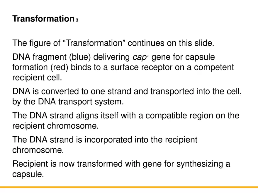 An Introduction to Microbial Genetics Lecture Part 11 - Page 7
