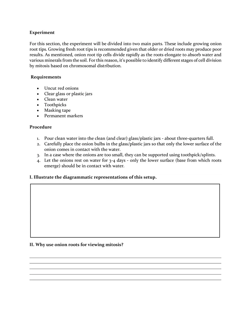 Mitosis - A Quick Overview of Cell Division - Page 2