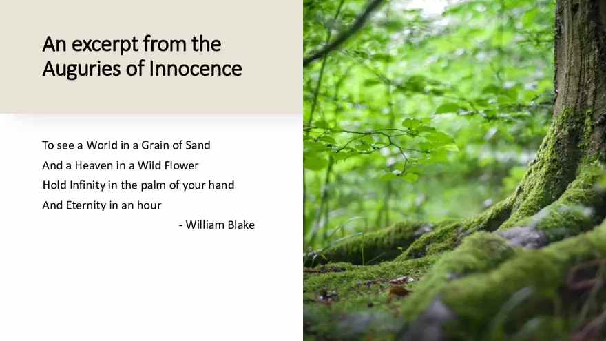 Environmental Sustainability - Page 2