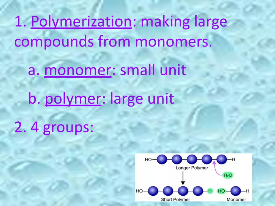 Part 3 Biochemistry of Macromolecules - Page 3