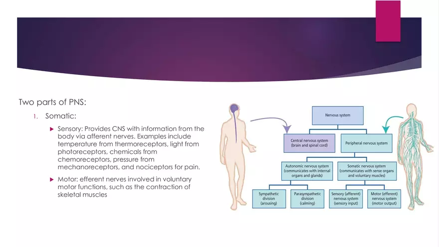 The Connection Between Viscera and Soma - Page 4
