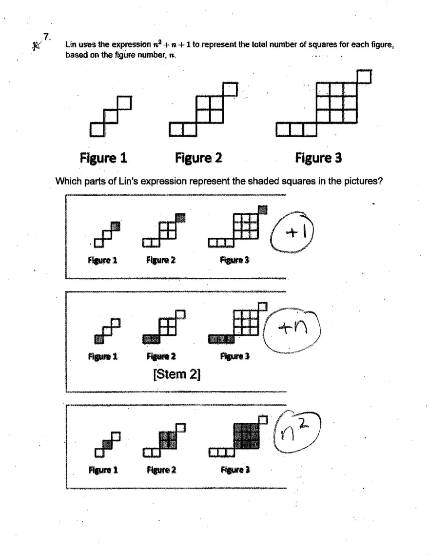 Evaluating Expressions and Identifying Vertex Coordinates - Page 3