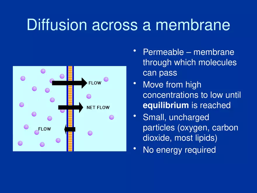Cellular Transport Lecture Part 1 - Page 7