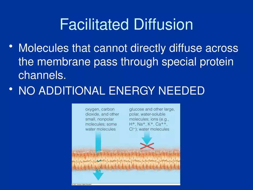 Cellular Transport Lecture Part 1 - Page 8