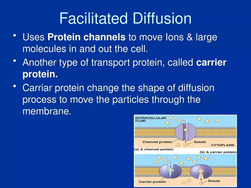 Cellular Transport Lecture Part 1 - Page 9