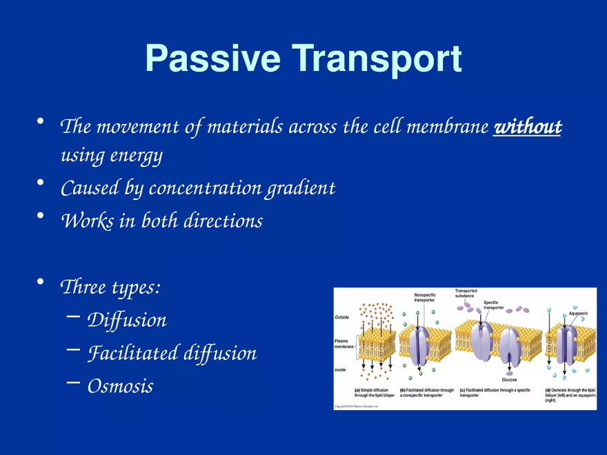Cellular Transport Lecture Part 1 - Page 5