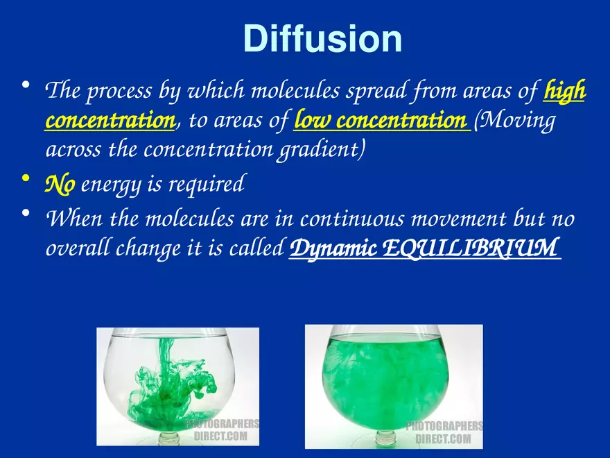 Cellular Transport Lecture Part 1 - Page 6