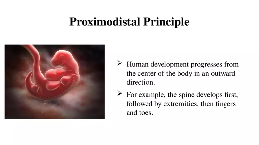 Human Growth and Development Lecture Part 7 - Page 7