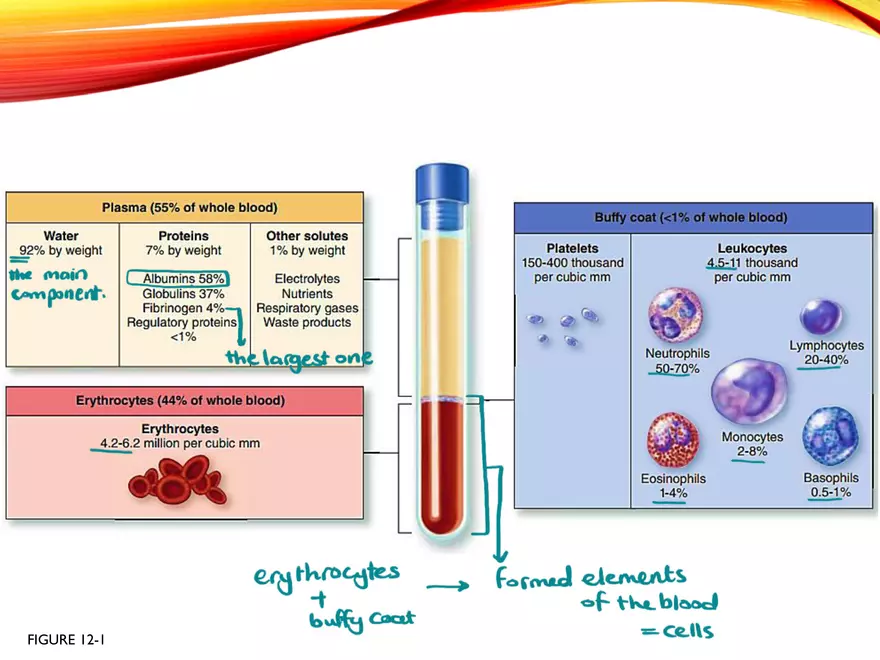 Blood Composition - Page 2
