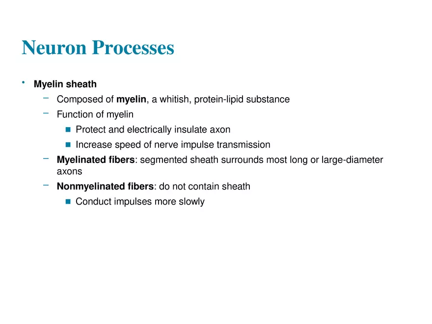 Fundamentals of the Nervous System and Nervous Tissue Lectrure 4 - Page 7