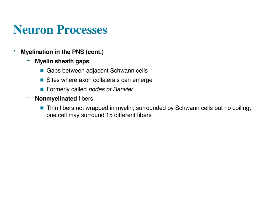 Fundamentals of the Nervous System and Nervous Tissue Lectrure 4 - Page 10