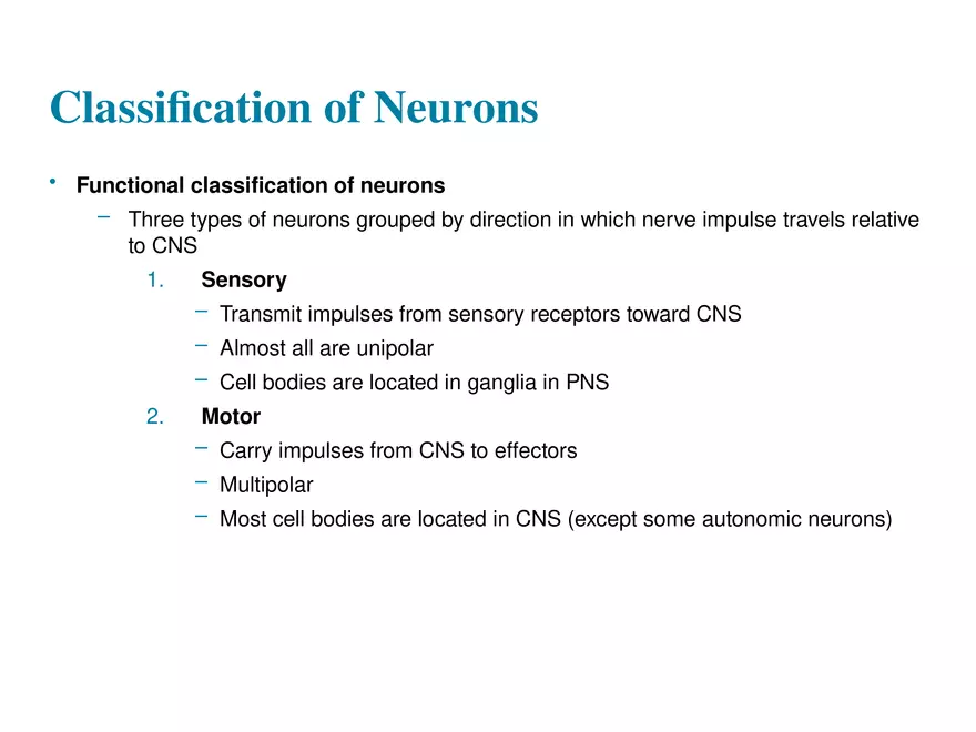Fundamentals of the Nervous System and Nervous Tissue Lectrure 4 - Page 4