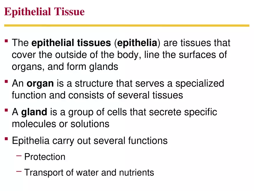 Animal Form and Function Lecture 2 - Page 8