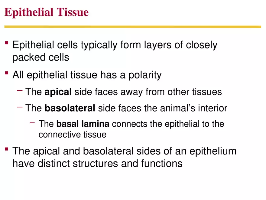 Animal Form and Function Lecture 2 - Page 9