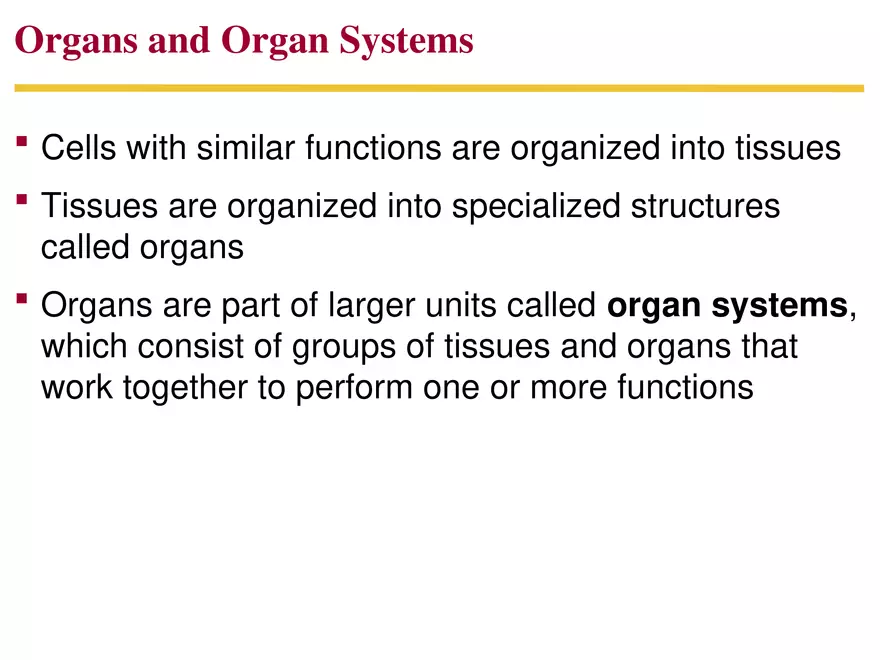 Animal Form and Function Lecture 2 - Page 11