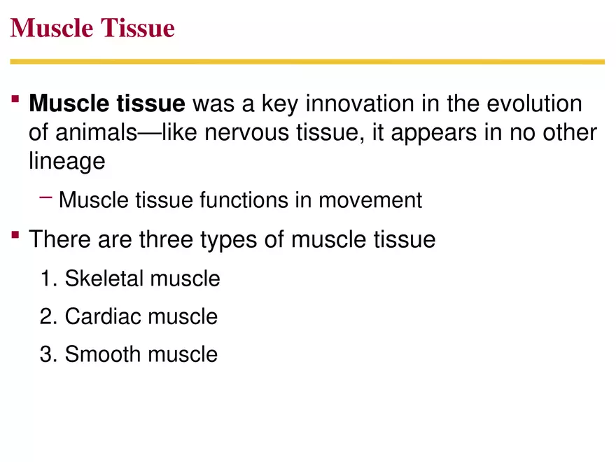 Animal Form and Function Lecture 2 - Page 1