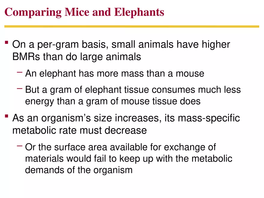 Animal Form and Function Lecture 2 - Page 3