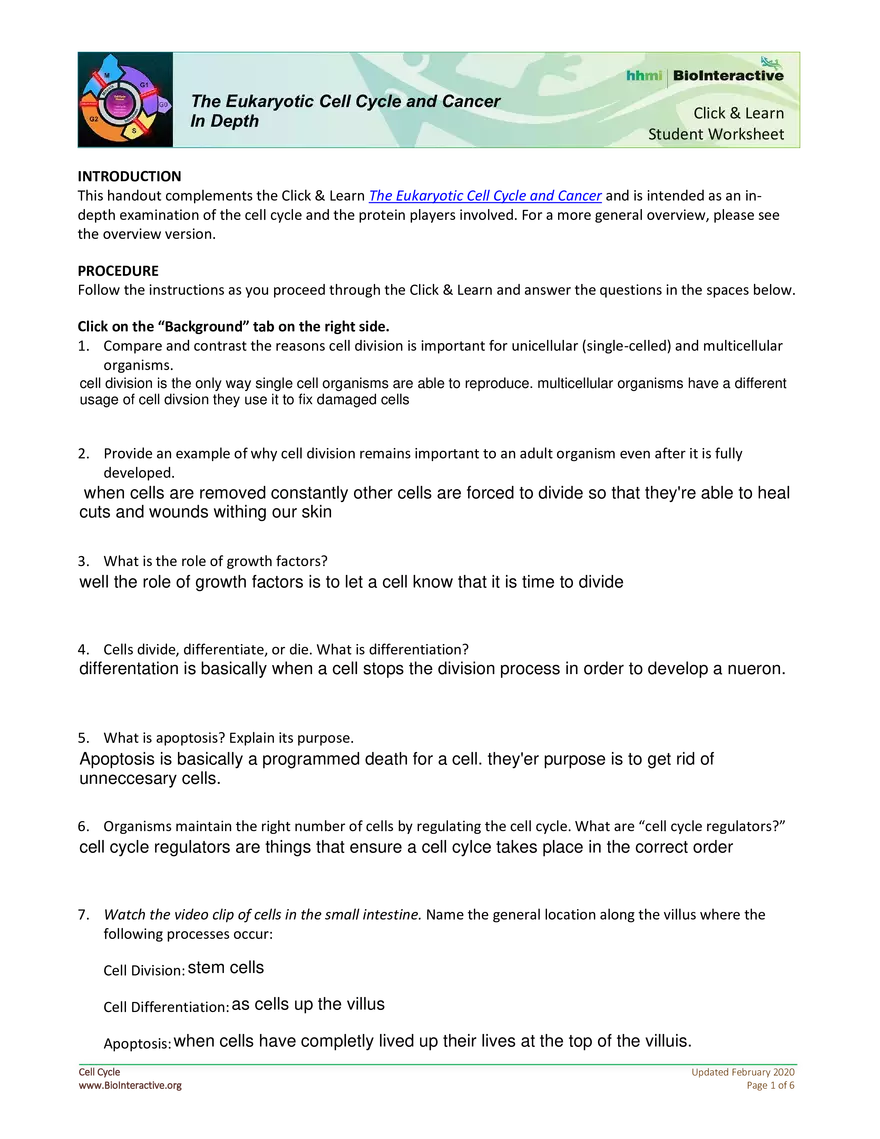 The Eukaryotic Cell Cycle and Cancer In Depth - Page 1
