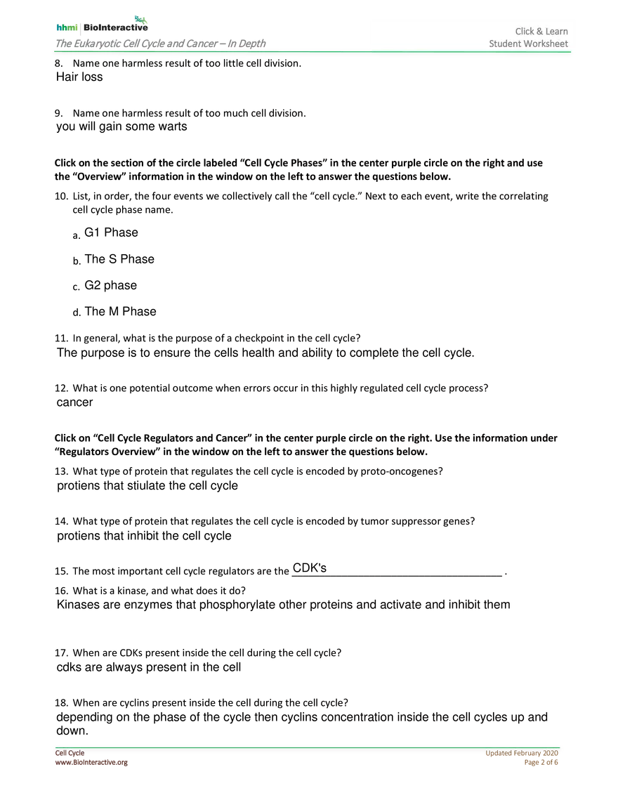 The Eukaryotic Cell Cycle and Cancer In Depth - Page 2