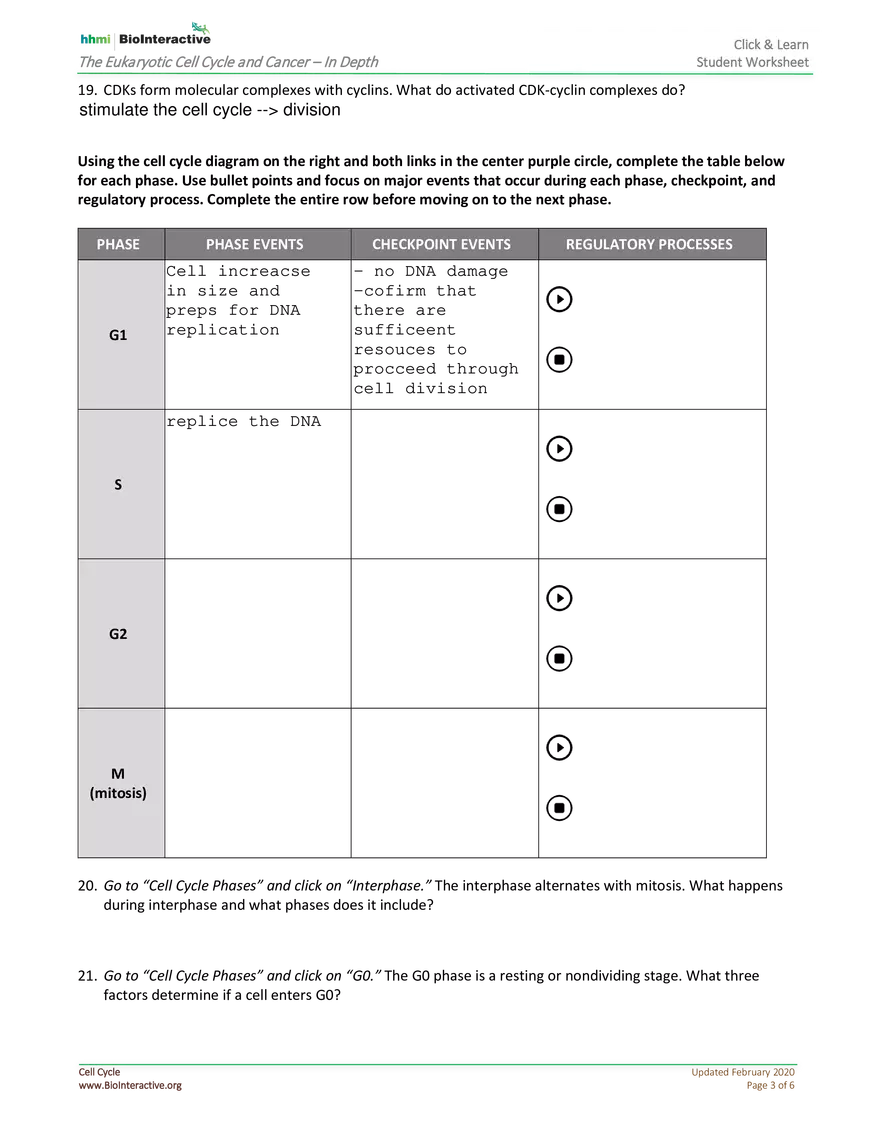 The Eukaryotic Cell Cycle and Cancer In Depth - Page 3