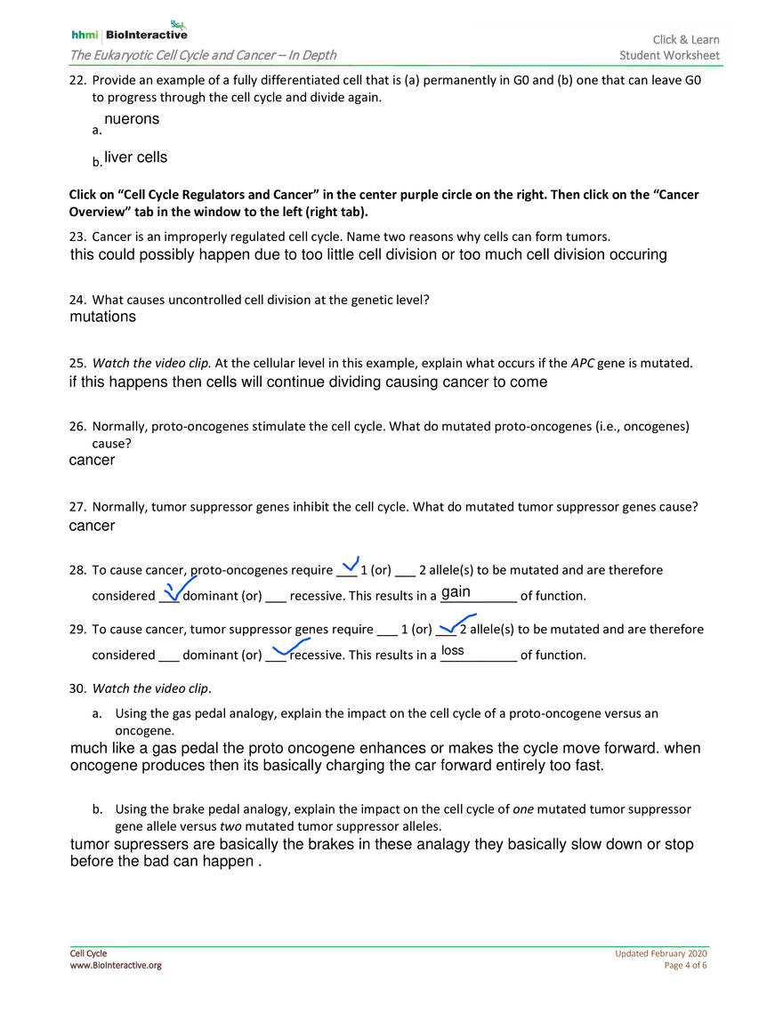 The Eukaryotic Cell Cycle and Cancer In Depth - Page 4