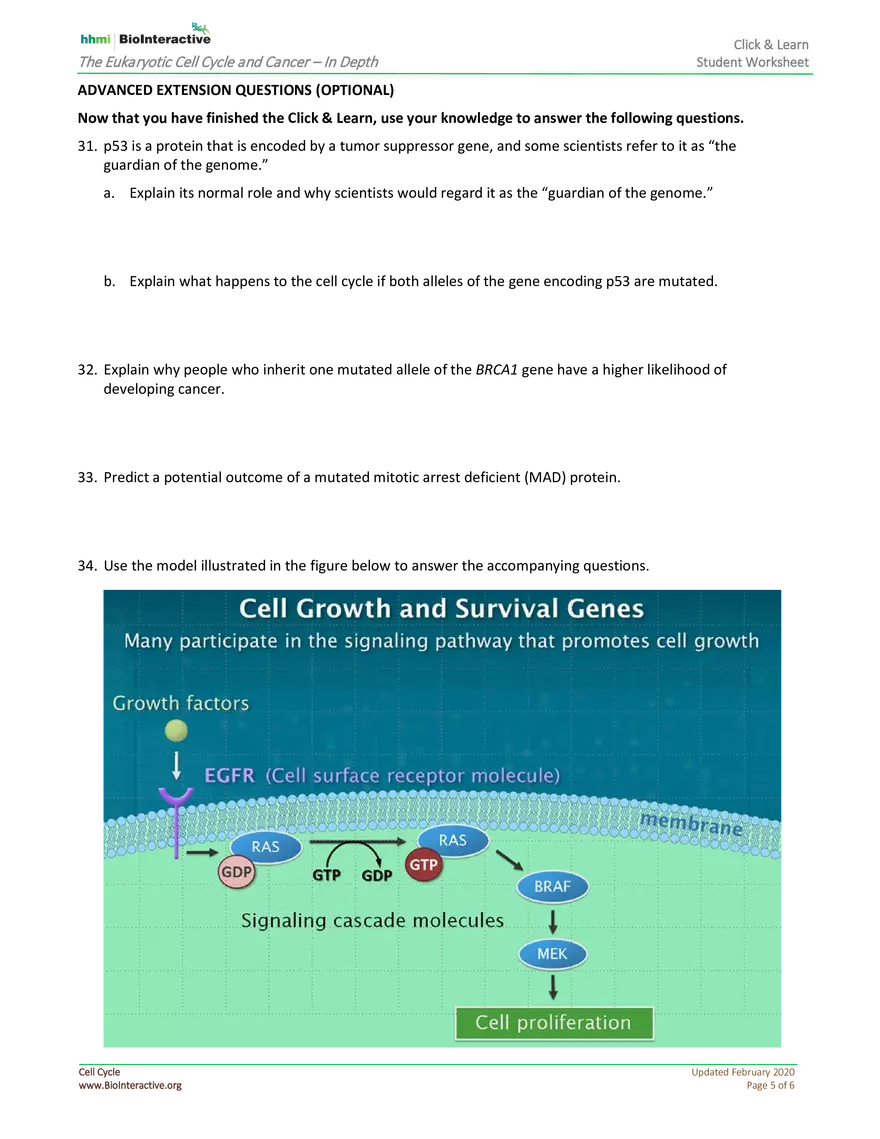 The Eukaryotic Cell Cycle and Cancer In Depth - Page 5