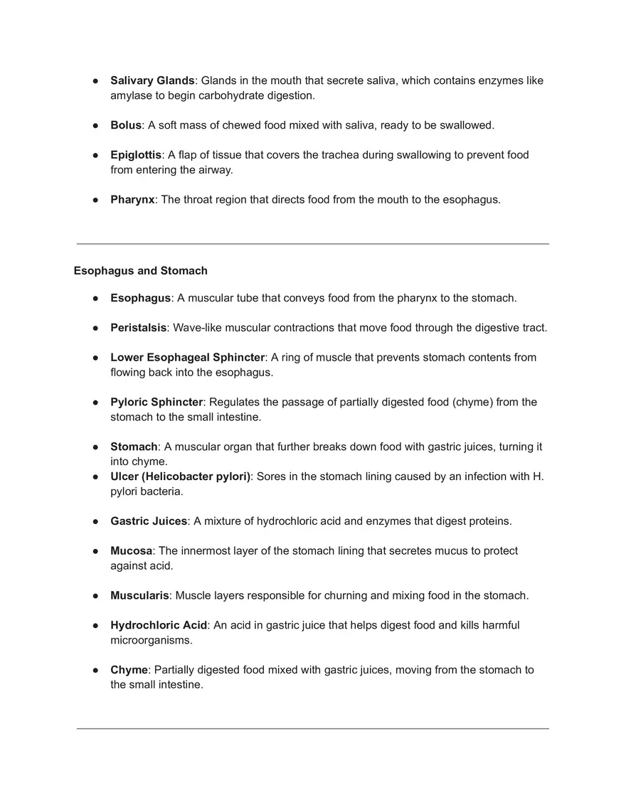Gastrointestinal Tract (GL Tract) - Page 4