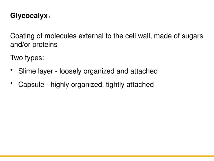A Survey of Prokaryotic Cells and Microorganisms Lecture 3 - Page 8