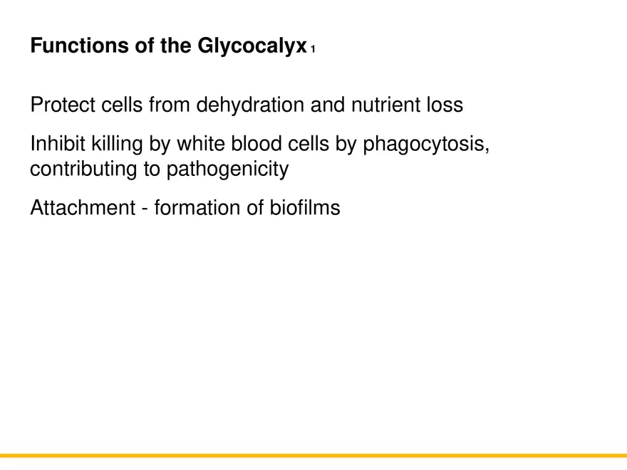 A Survey of Prokaryotic Cells and Microorganisms Lecture 3 - Page 10