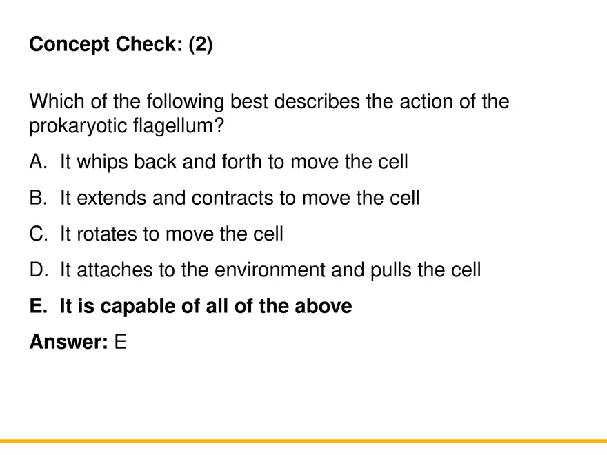 A Survey of Prokaryotic Cells and Microorganisms Lecture 3 - Page 2