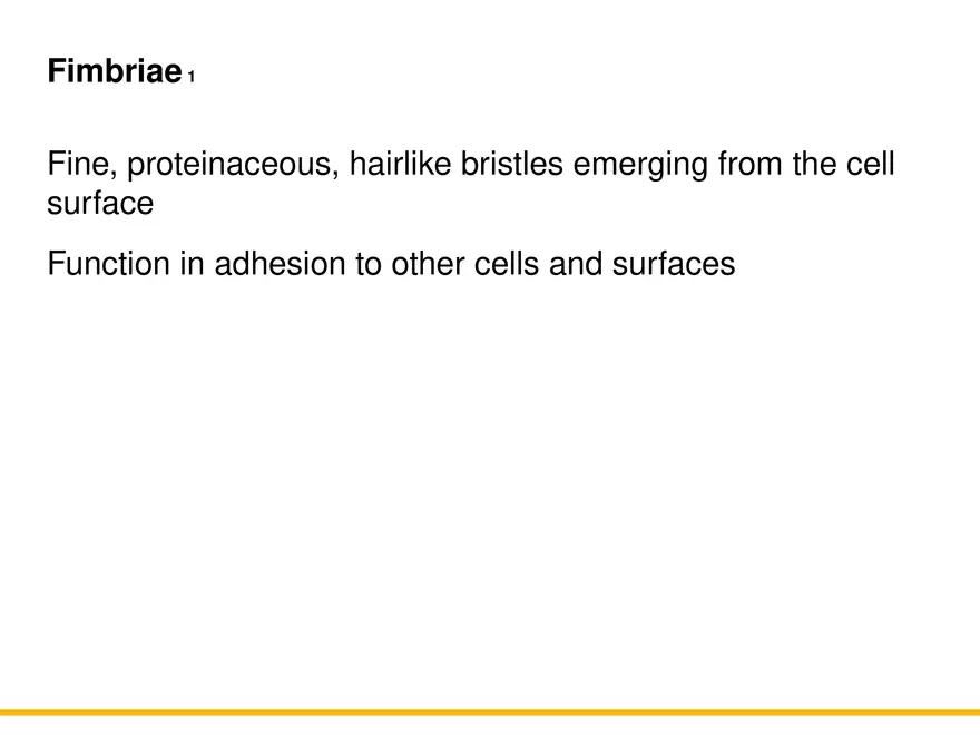 A Survey of Prokaryotic Cells and Microorganisms Lecture 3 - Page 4