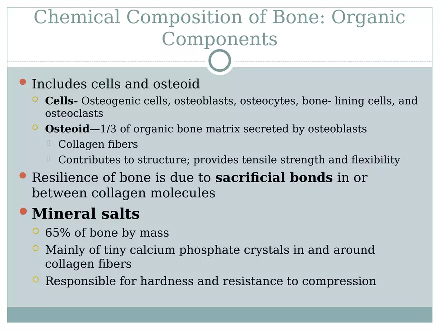 Chapter 6 Bones and Skeletal Tissue Part 1 - Page 12
