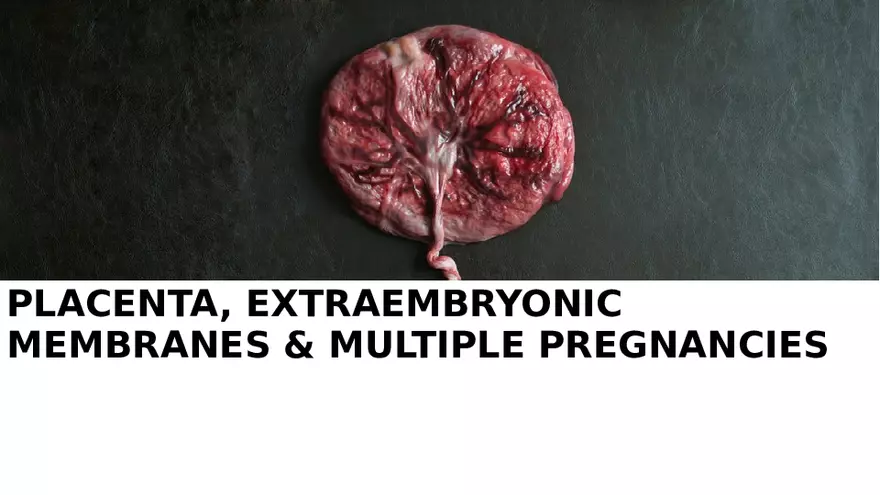 Placenta, Extraembryonic Membranes, and Multiple Pregnancies Part 1 - Page 1