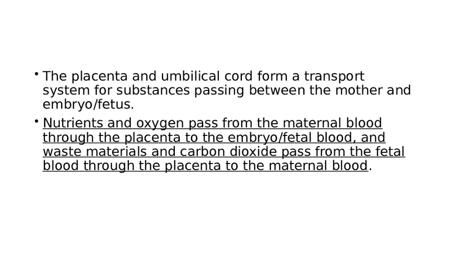 Placenta, Extraembryonic Membranes, and Multiple Pregnancies Part 1 - Page 5