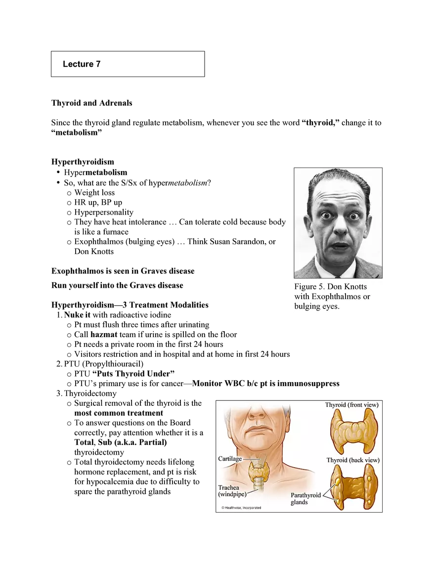 Nursing Exam Review Lecture 7 Thyroid and Adrenals - Page 1