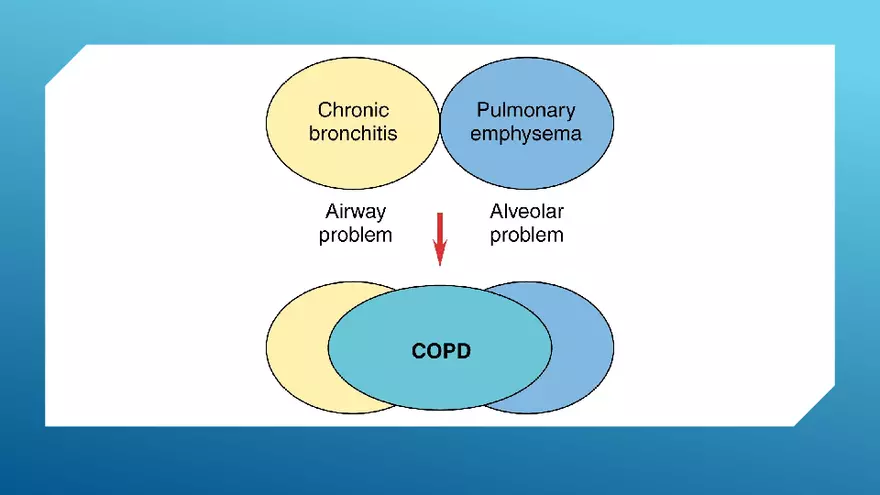 Chronic Obstructive Pulmonary Disease (COPD) Part 1 - Page 10
