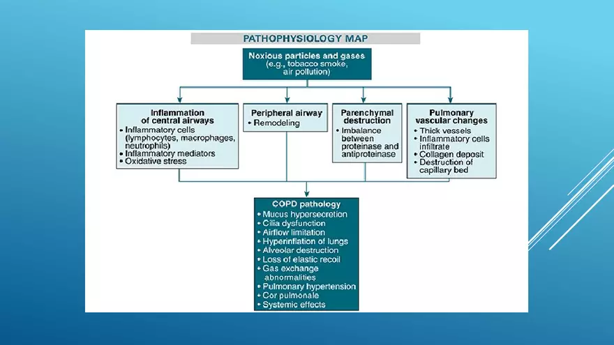 Chronic Obstructive Pulmonary Disease (COPD) Part 1 - Page 6