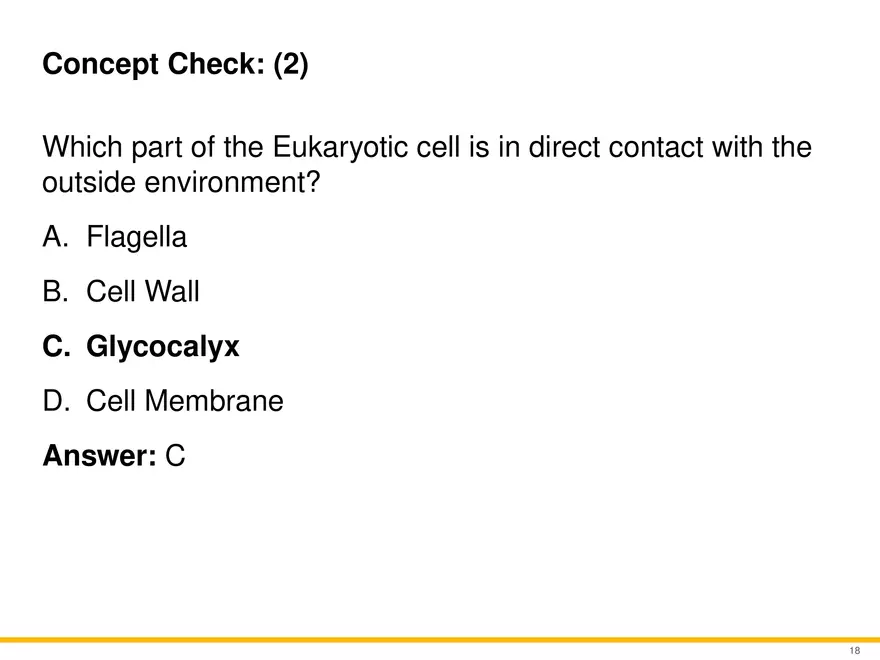 A Survey of Eukaryotic Cells and Microorganisms Part 2 - Page 7