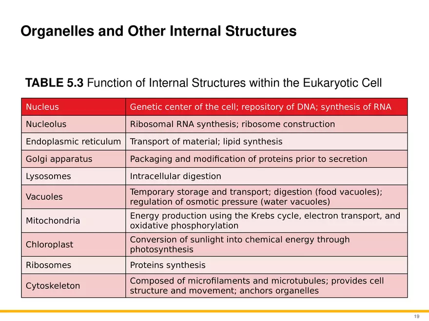 A Survey of Eukaryotic Cells and Microorganisms Part 2 - Page 8