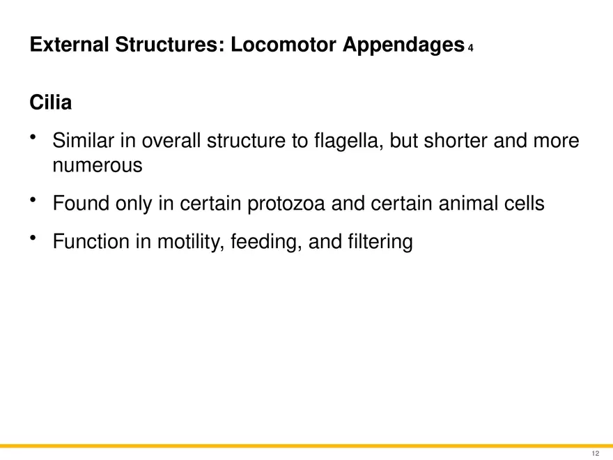 A Survey of Eukaryotic Cells and Microorganisms Part 2 - Page 1