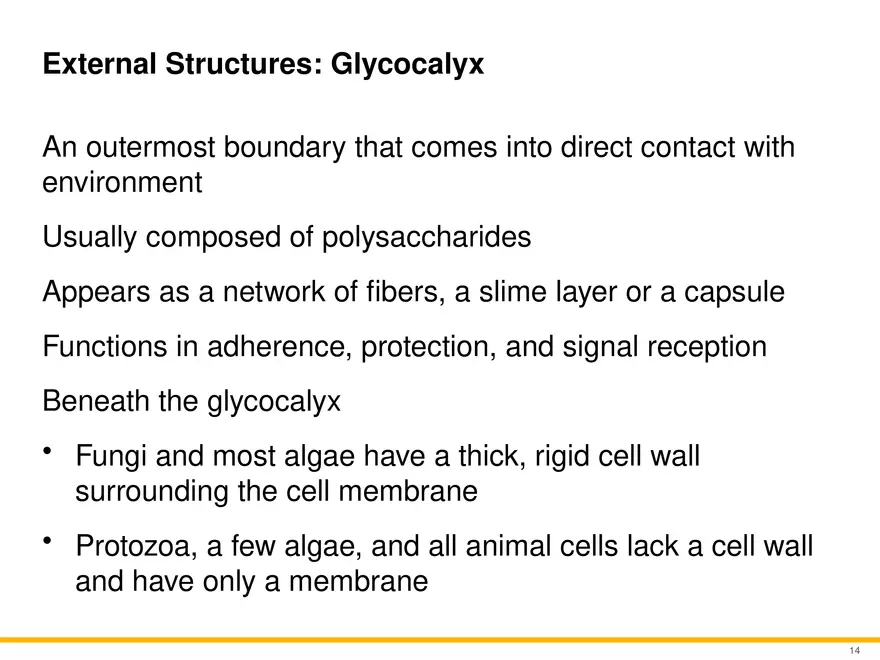 A Survey of Eukaryotic Cells and Microorganisms Part 2 - Page 3