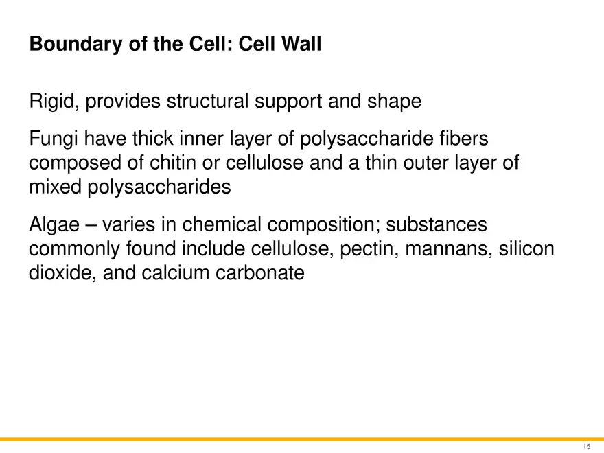 A Survey of Eukaryotic Cells and Microorganisms Part 2 - Page 4